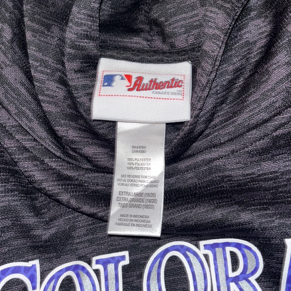 COLORADO ROCKIES HOODIE - Picture 2 of 3